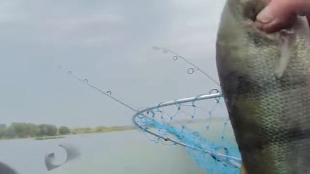 Ловим окуня смотреть онлайн