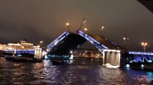 Ночная экскурсия. Развод мостов Санкт-Петербург