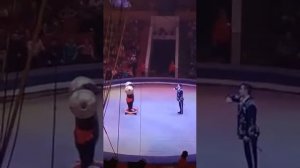 А теперь посмотрим цирк!