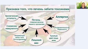 Как защитить печень Что такое NUTRILITE™ Печень актив