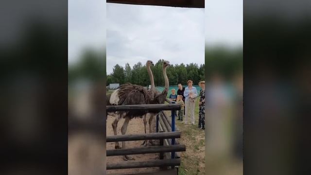 Макарьевский монастырь. На теплоходе смотреть онлайн