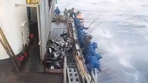 Клёвый улов