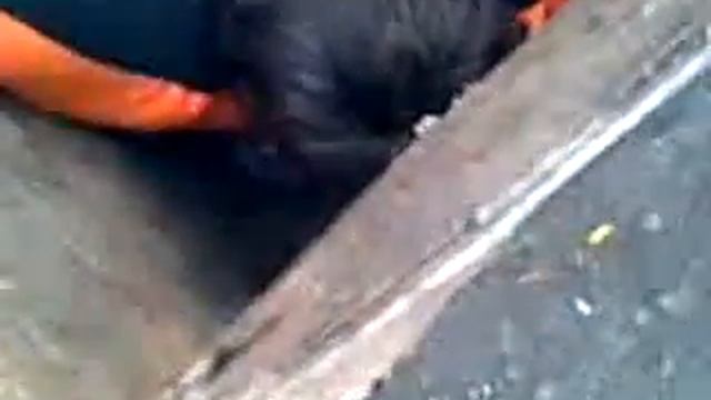 А вам слабо смотреть онлайн