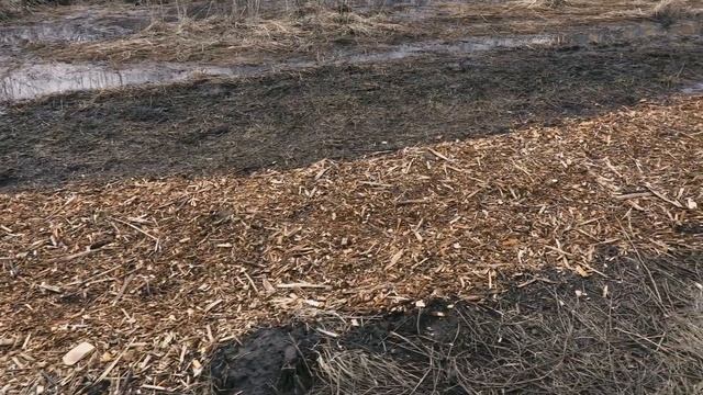 ЩЕПА И КОНТЕЙНЕР смотреть онлайн