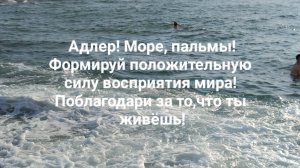 Адлер! Море, пальмы!Формируй положительную силу восприятия мира! Поблагодари за то,что ты живёшь!