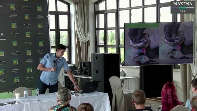 Андрей ЛОПАТИН - Копытные трещины классификация и лечение - 28-07-2024 IV ЕвразВетКонгресс