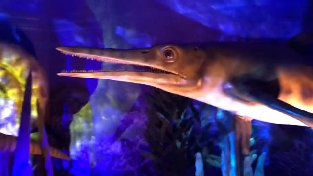 Динозавры морских глубин Dinosaurs of the deep sea