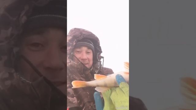 ОКУНЬ КРУПНЫЙ НА МАРМЫШКУ И МУХИ!!! 🤘