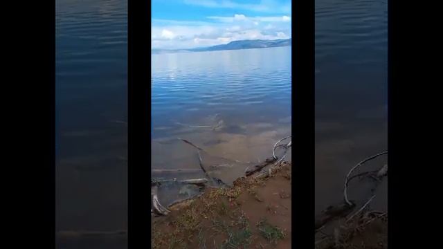 Выходные с семьёй отдыхаем ловим леща на знаменском заливе