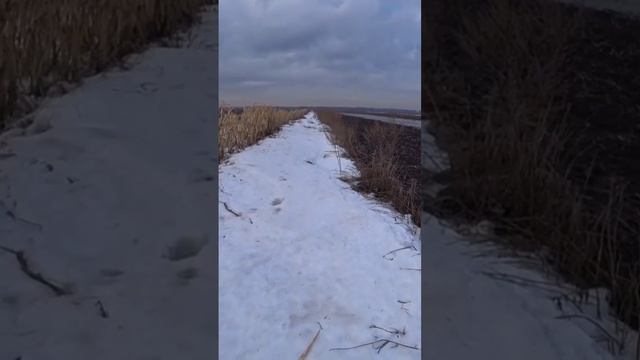 Охота на гуся смотреть онлайн