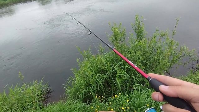 Прогулка по малим рекам голавль, хариус, уклейка и все это на спиннинг.