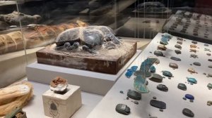 Sharm el-Sheikh Museum. Egypt. Новый музей в Шарм эль Шейхе.