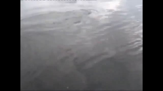 ЩУКА НА 16 КИЛОГРАММ, Рыбалка просто супер! смотреть онлайн