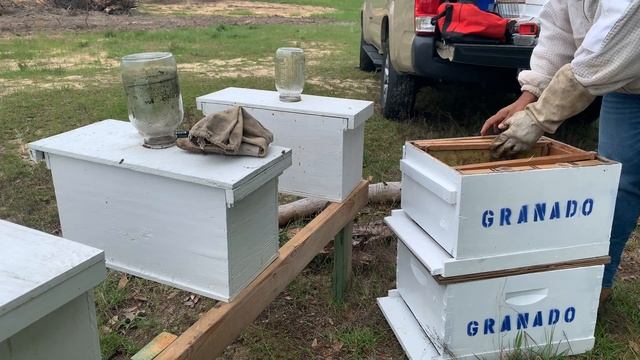 Busy Day in the Bee Yard! Marking queens moving nucs to deep boxes.