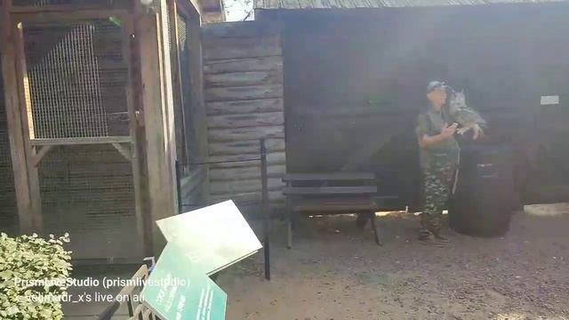Гуляю по Москве. Коломенское. Соколиный двор
