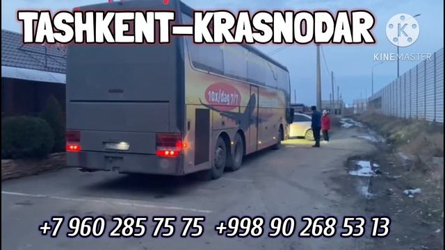 Ташкент Краснодар автобус # Краснодар Ташкент автобус/Ташкент Саратов автобус/Ростов Ташкент автобу