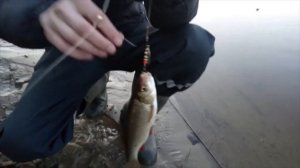 О рыбалке в деревне Родионово