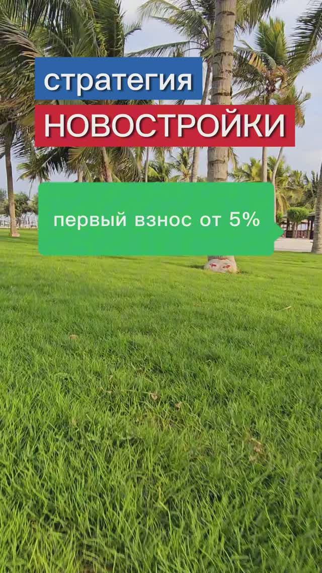 Стратегия "Новостройки на рынке Дубая" 💰