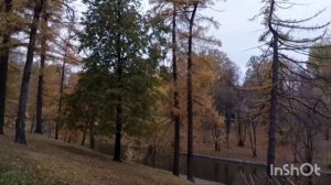 Прогулка по усадьбе Дурасова в Люблино.