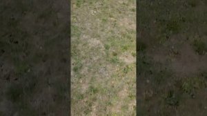 гайковёрт Kamolee DTW700 1800 Нм. откручивает гайки 30,32