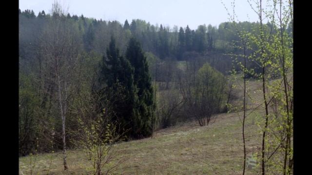 2006  Подмосковье  Походы выходного дня