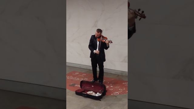 Владимир Семибратов. Скрипка. Музыка в метро. 04.08.2018