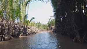 Меконг ВЬЕТНАМ где делали засады партизаны
