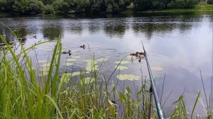 Рыбалка на Гнилуше, июль 2023 г.