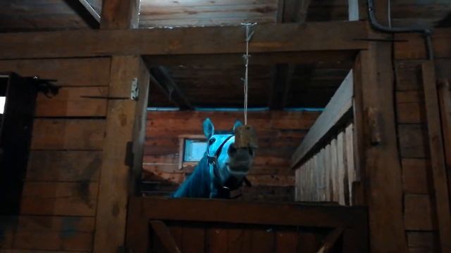 Лизунец смотреть онлайн