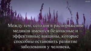Каждые 10 минут один человек в мире умирает от бешенства — Статья