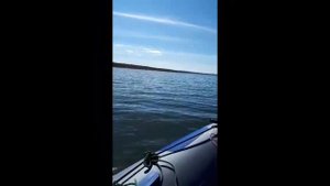 Лодка ПВХ Роджер Зефир нднд обзор
