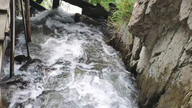 Экскурсия по Алтаю