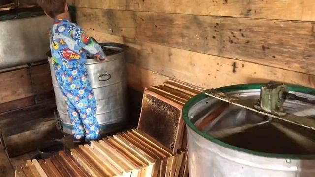Медовое путешествие. Производство и доставка нашего мёда
