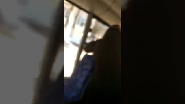 Съездили погулять смотреть онлайн