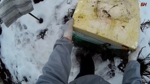 пчеловодство. как бороться с сыростью в ульях