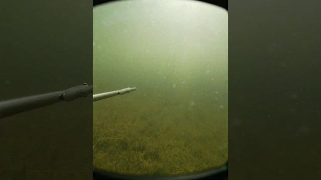 подводная охота алтай смотреть онлайн