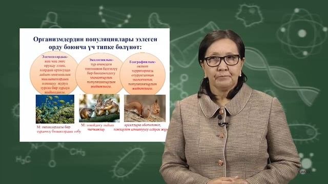 11 класс  Биология Биогеоценоз  Экологические пирамиды  Пищевые цепи