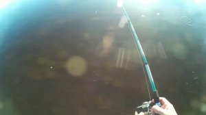 Пробуем новую снасть,но ловим на блесну хариуса