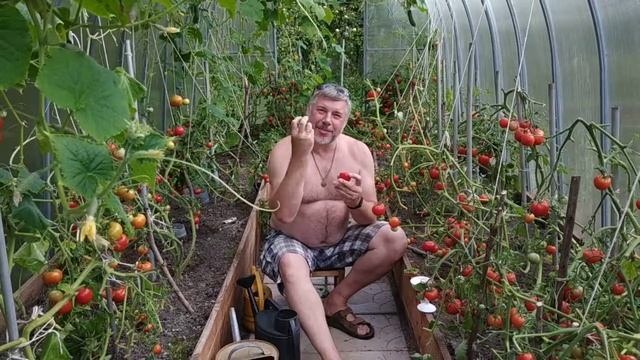 Помидорный рай
