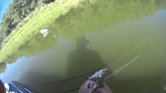 День пятый Утро Проверка сетки 28 08 2015 смотреть онлайн