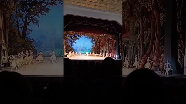 в опере "Жизель" февраль 2023г смотреть онлайн