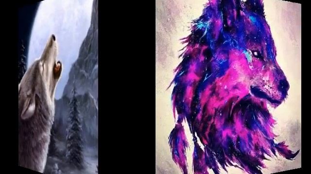 крутые и красивые волки смотреть онлайн