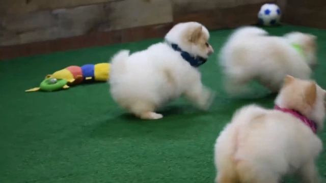 Trey Travers Trinette October 27, 2018 смотреть онлайн