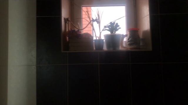 № 102/ 23.03.2024. Обзор моей ванной комнаты. смотреть онлайн