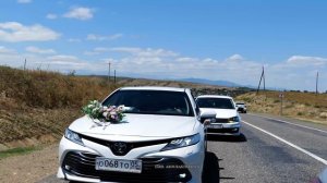 Свадебный картеж 2024