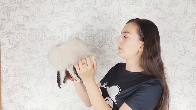 Шапка, Аксинья Шампань
