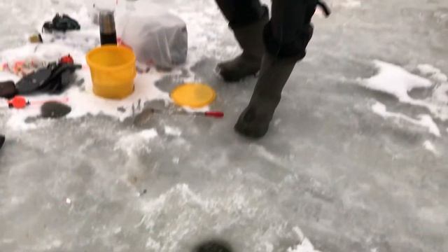 А мы ловим со льда)) смотреть онлайн