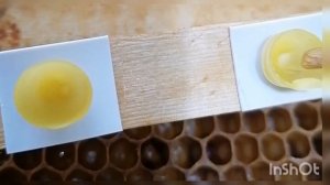 Вывод маток. Часть 1: прививка личинок