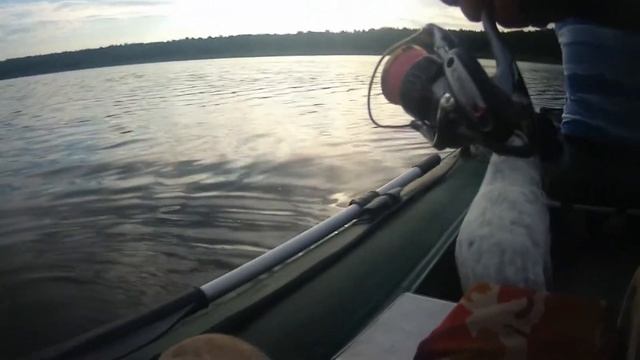 СНОВА ВОДОХРАНИЛИЩЕ! Марсик в деле! Окунь на спиннинг в июле! смотреть онлайн