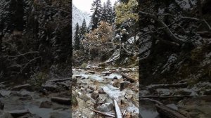 Золотая осень в Архызе